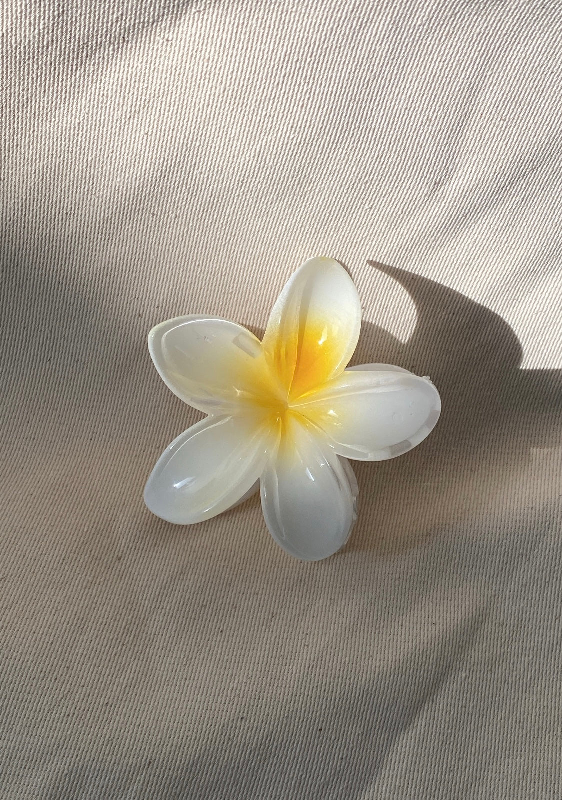 Summer Hair clip